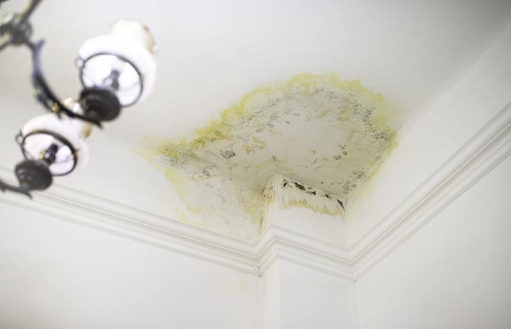 A stain on the ceiling in the apartment from flooding by the upstairs neighbors. Water leak damage. Insurance claiming case. Flooding by neighbors. Insurance case.